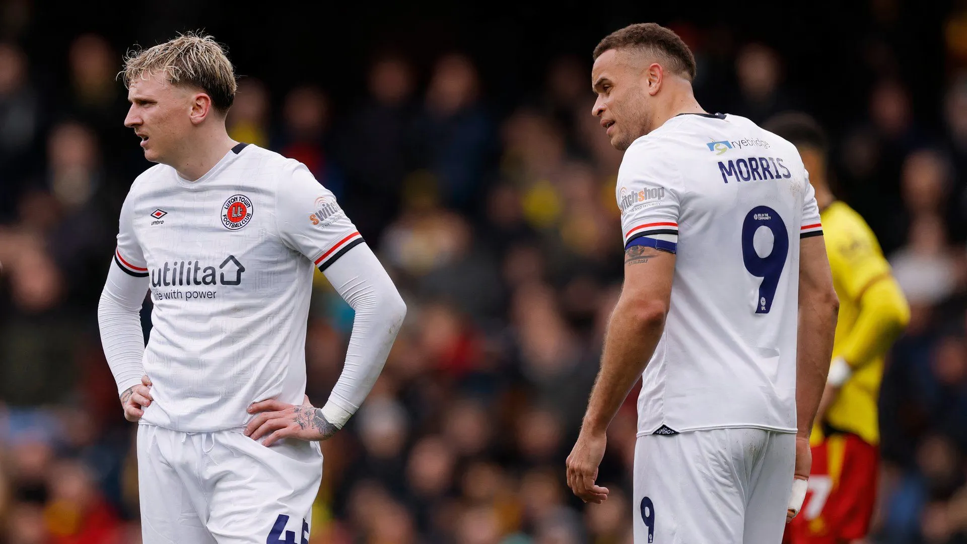 Alfie Doughty và Carlton Morris thi đấu cho Luton Town trước khi chuyển đến Millwall