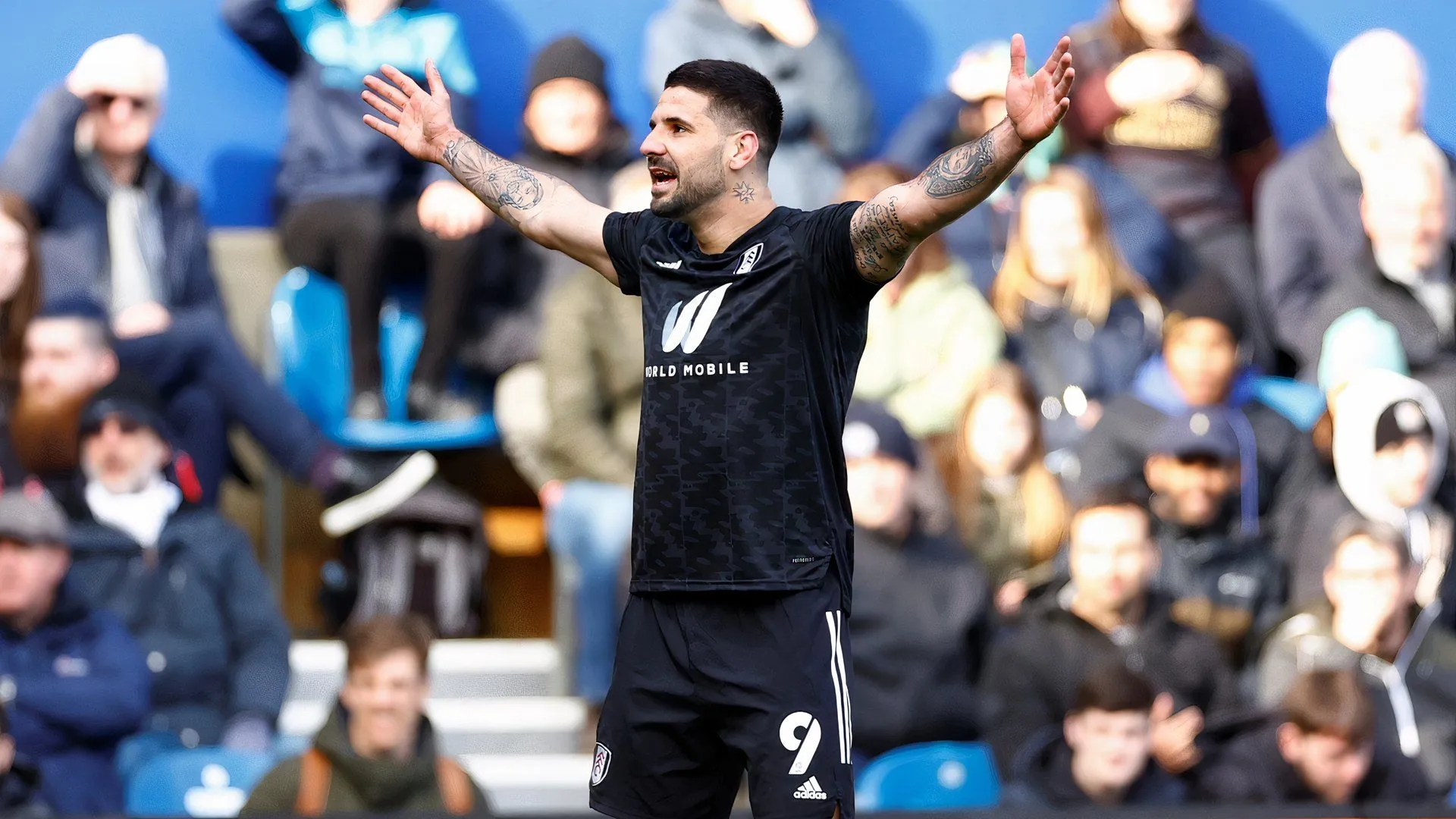 Tiền đạo Aleksandar Mitrovic trong màu áo Fulham, mục tiêu được đồn đoán của Birmingham